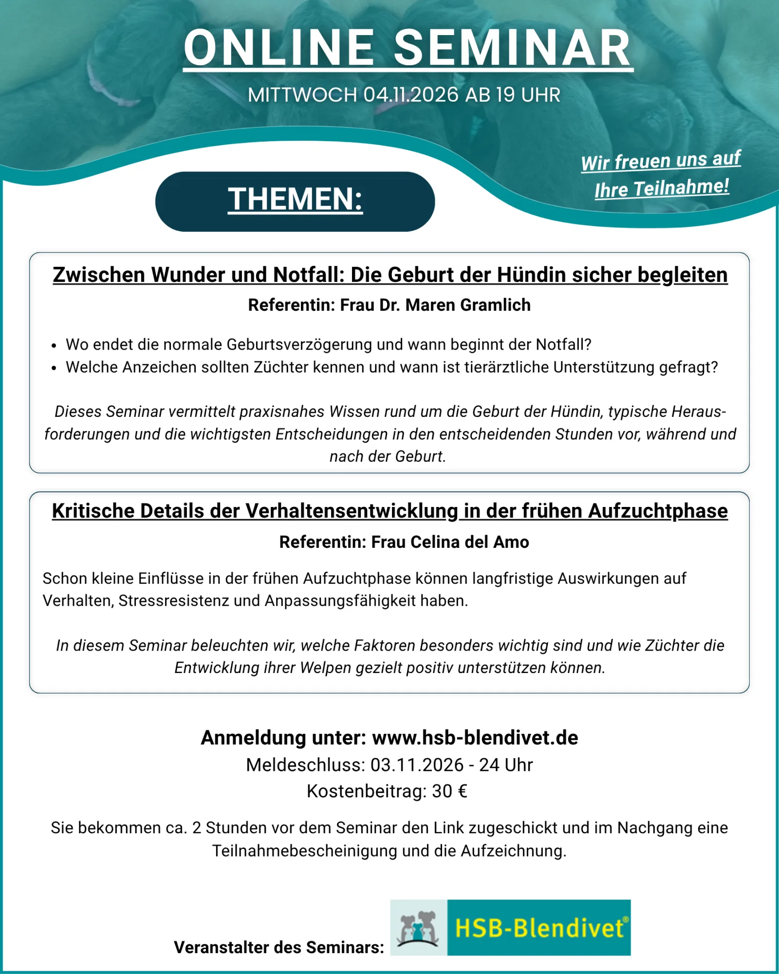 Zwischen Wunder und Notfall / Kritische Verhaltensentwicklung