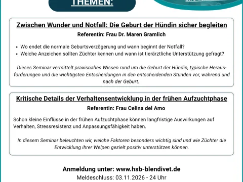 Zwischen Wunder und Notfall / Kritische Verhaltensentwicklung